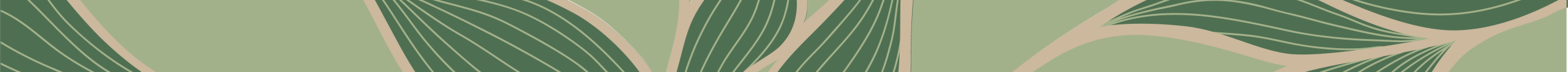 module_std_patternstrip